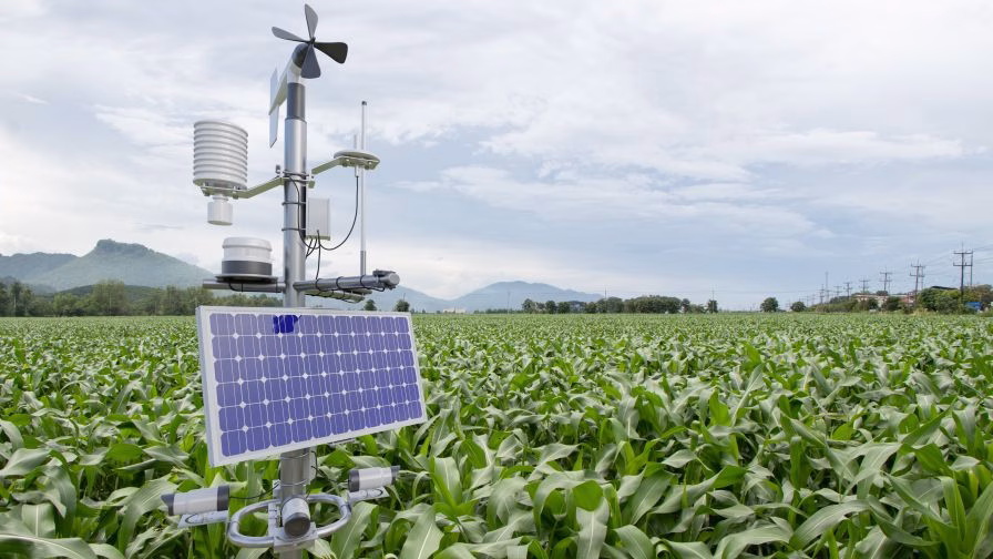 Weather station in corn field, 5G technology with smart farming concept